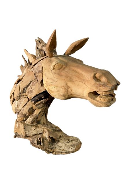 Picture of PAARDEN HOOFD 