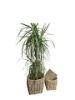 Picture of Round basket set of 3 PROMO (last items)