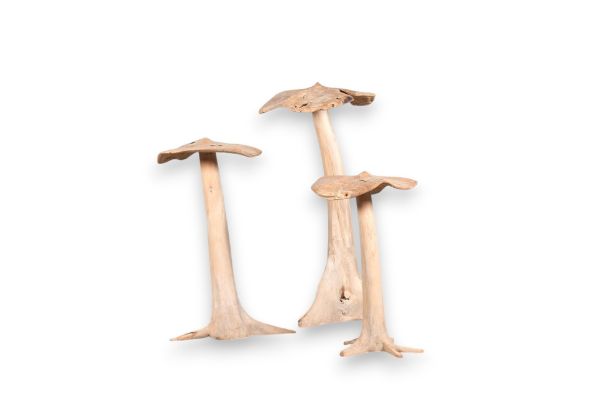 Image sur PADDENSTOELEN SET / 3